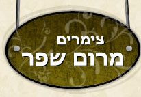 ������ ���� ���